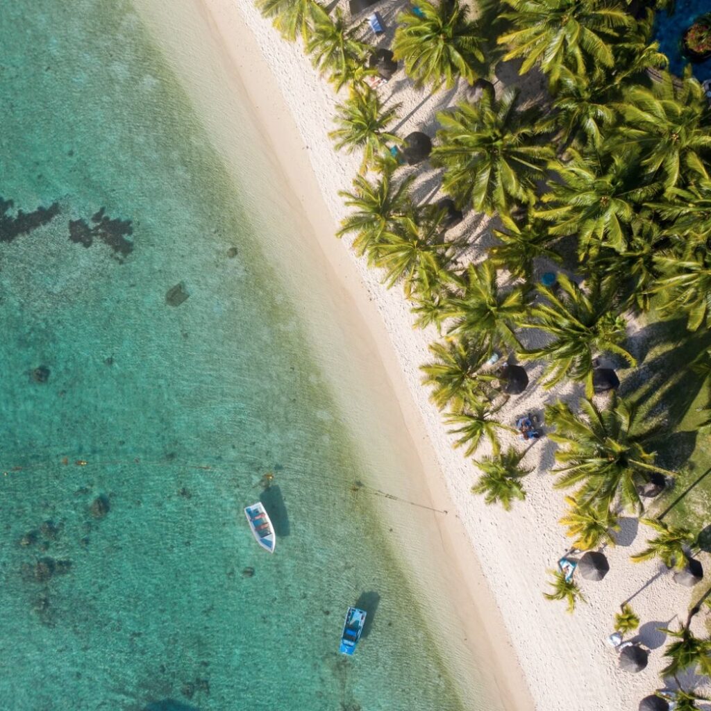 Capture d’écran 2025-04-20 133302