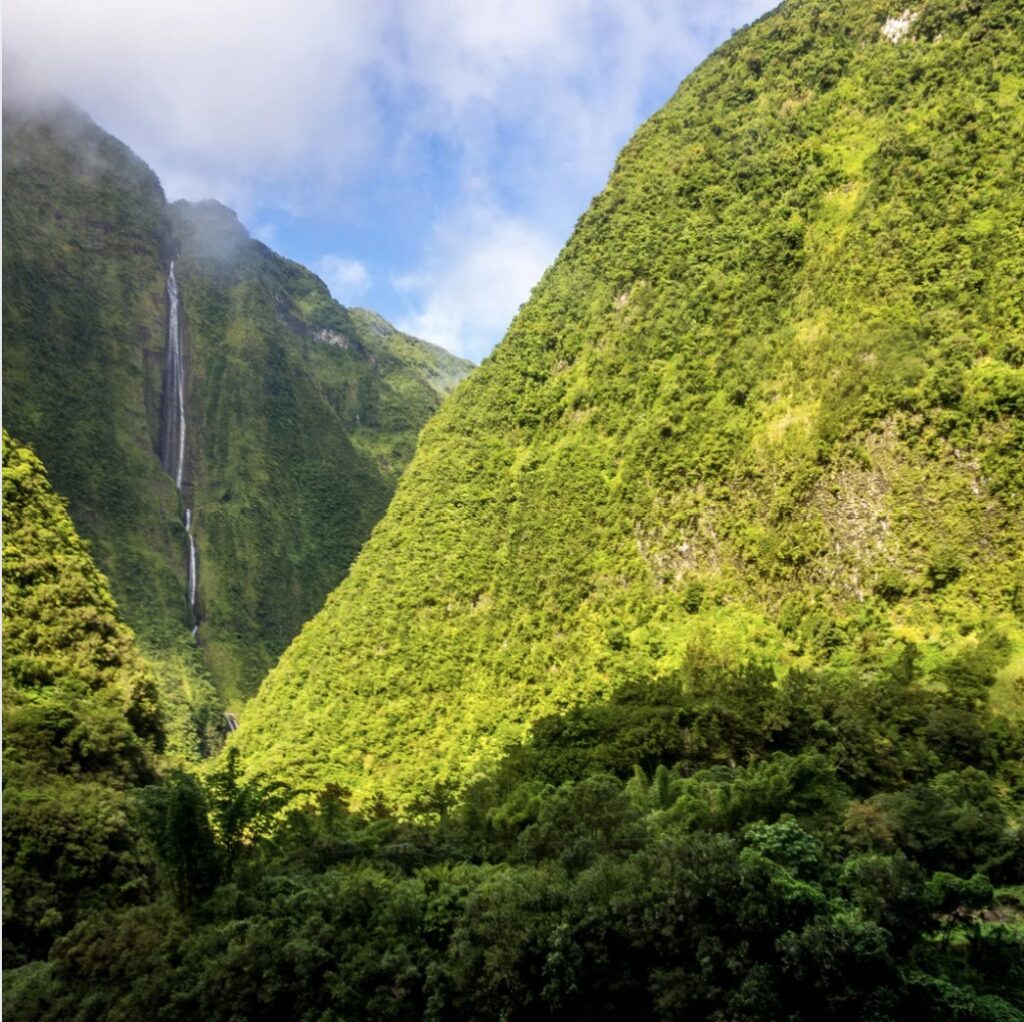Capture d’écran 2025-05-13 120526