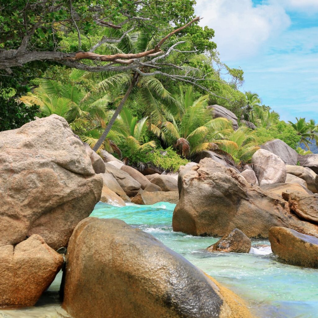 Capture d’écran 2025-05-13 133626