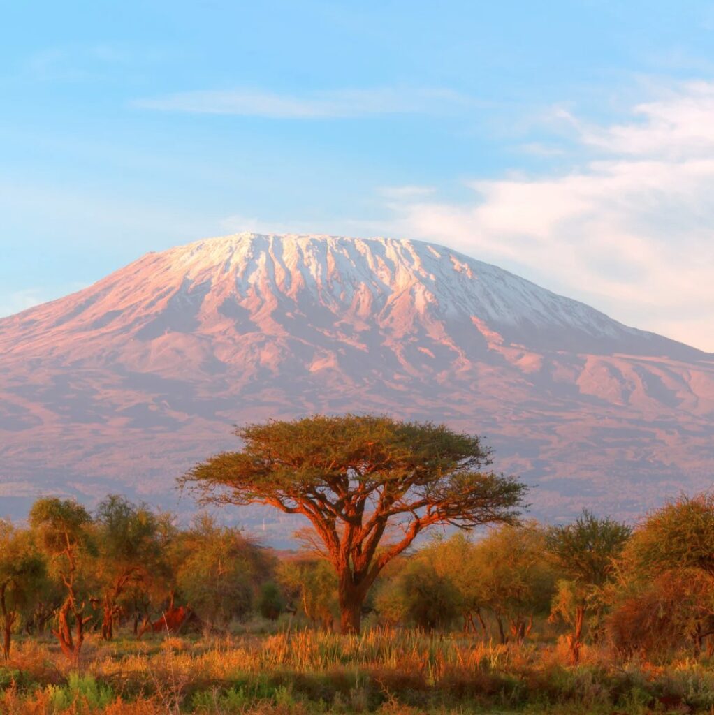Capture d’écran 2025-05-13 135158