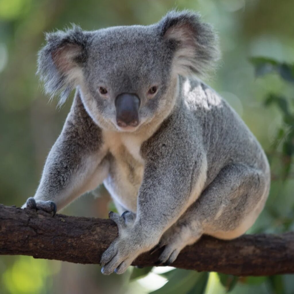 Capture d’écran 2025-05-13 140650