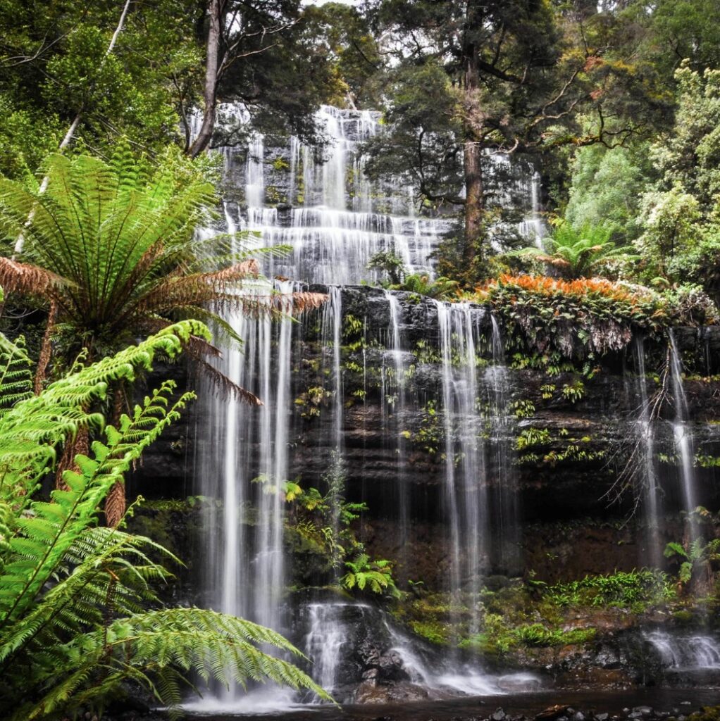 Capture d’écran 2025-05-13 141236