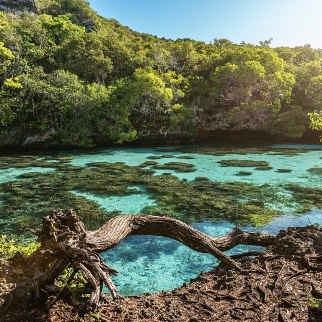 Capture d’écran 2025-05-13 143702
