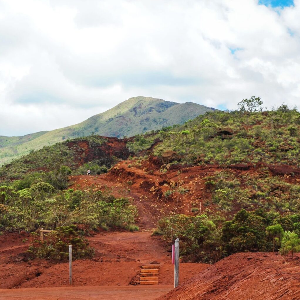 Capture d’écran 2025-05-13 144103