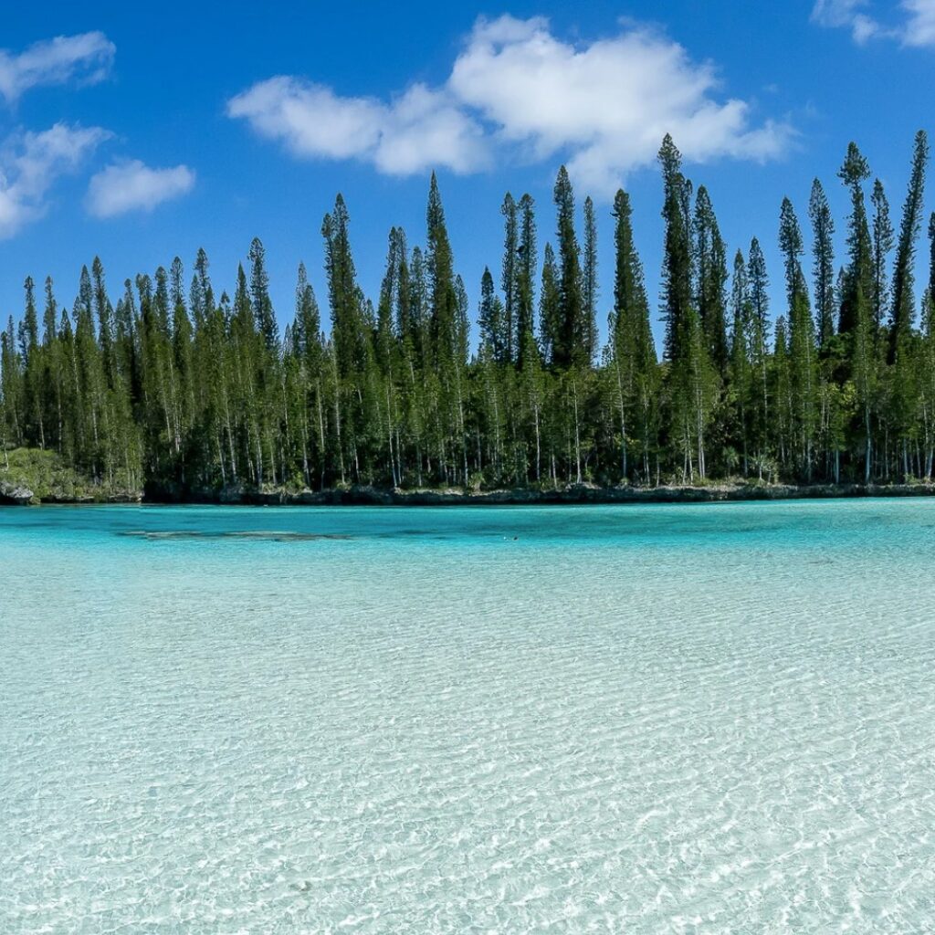 Capture d’écran 2025-05-13 144540