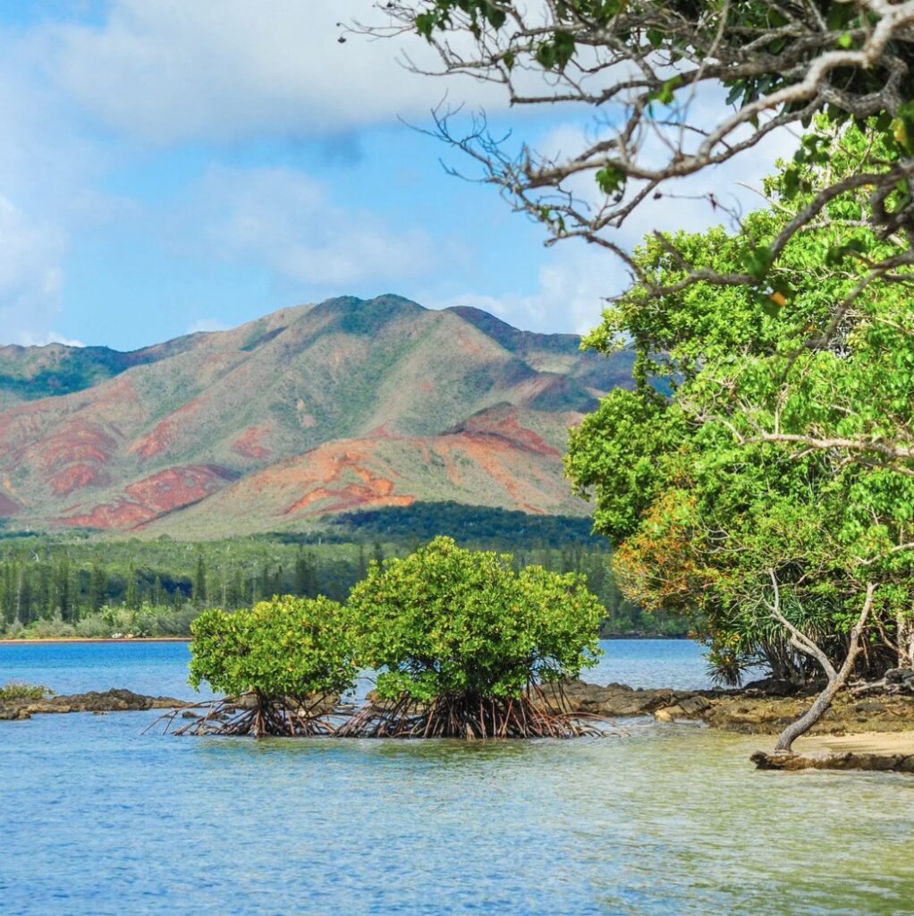 Capture d’écran 2025-05-20 090245