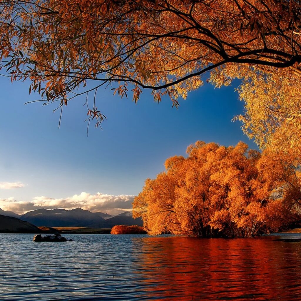 Capture d’écran 2025-05-20 092424