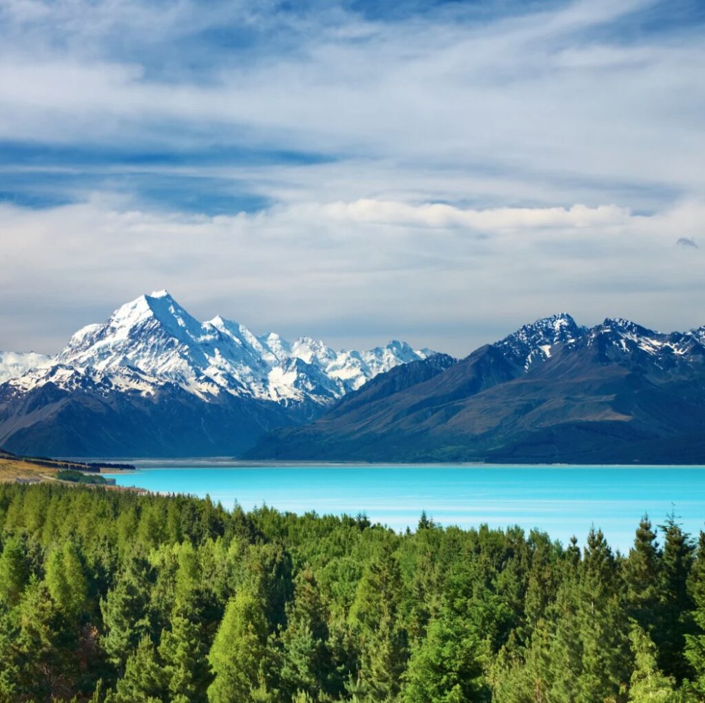 Capture d’écran 2025-05-20 093019