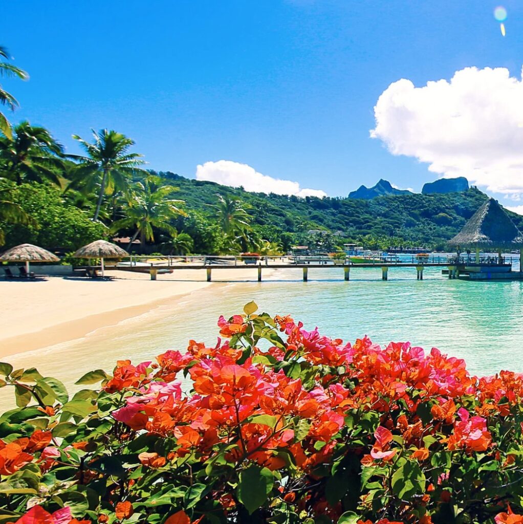 Capture d’écran 2025-05-20 100158